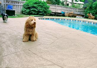 Pool Deck Resurfacing
Pool Deck Resurfacing
SUNDEK of Tampa
