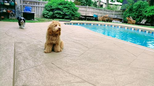 Pool Deck Resurfacing
Pool Deck Resurfacing
SUNDEK of Tampa
